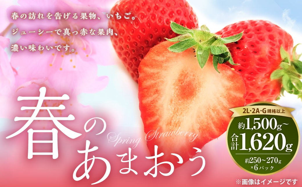 春のあまおう（2L・2A・G規格以上 6パック）【数量限定】