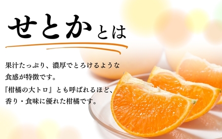 ジューシー柑橘　せとか　約3kg※2025年2月末頃～2025年3月中旬頃発送(お届け日指定不可)【uot506】