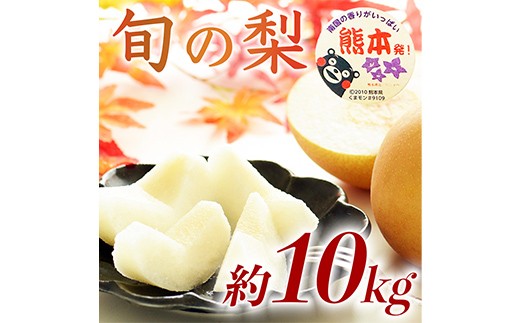 
                  FKP9-728 球磨村 旬の梨おまかせ 10kg ナシ 梨 果物 くだもの フルーツ
                