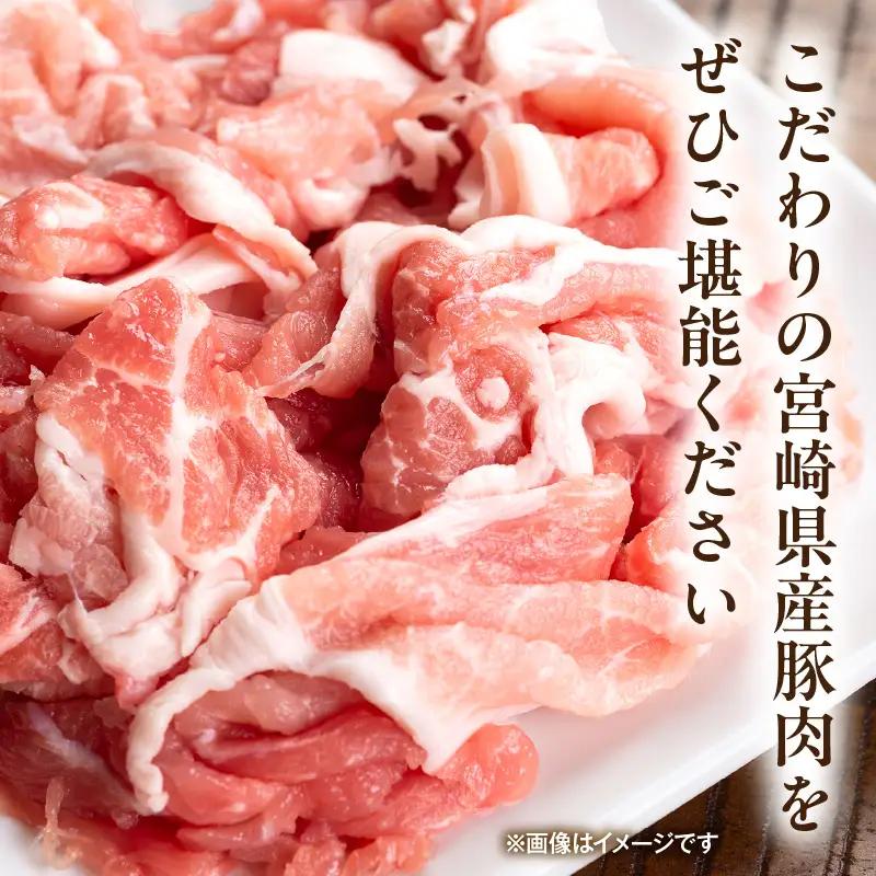 豚肉 こま切れ 豚肉[宮崎県産 1kg 200g×5P]