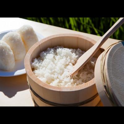 ふるさと納税 養父市 2025年9月以降発送【蛇紋岩ブランド　別格米6kg】 |  | 01