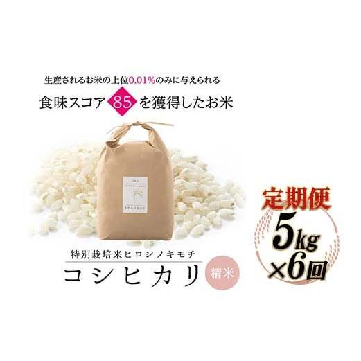 【6回定期】特別栽培米 コシヒカリ ヒロシノキモチ 精米 5kg 総計30kg ブランド米 銘柄米 国産 米 お米 日本米 ギフト 贈り物 備蓄 防災 食品 陽咲玲 はるざれ F6T-991