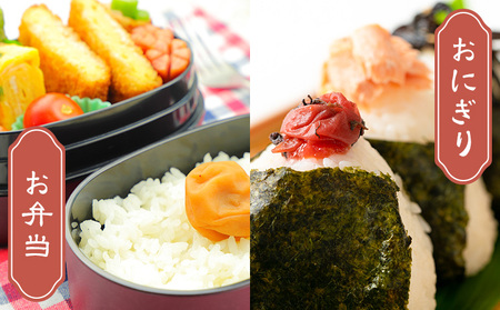 令和7年産 米 10kg 無洗米 お米 10キロ 神石高原応援米《10月上旬-12月上旬頃出荷予定(土日除く)》こめ コメ 国産 おにぎり 弁当 ツヤ