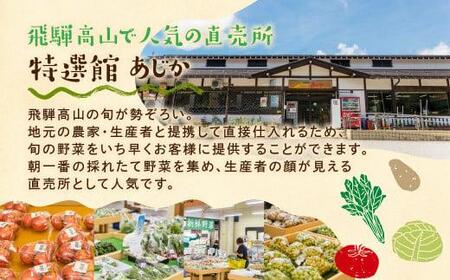 【2024年予約受付】飛騨 野菜セット 6～7点  飛騨高山産 野菜  秋野菜 おまかせ お取り寄せ 新鮮 産地直送 飛騨産 夏  秋 秋野菜  サラダ     あじか TR3076