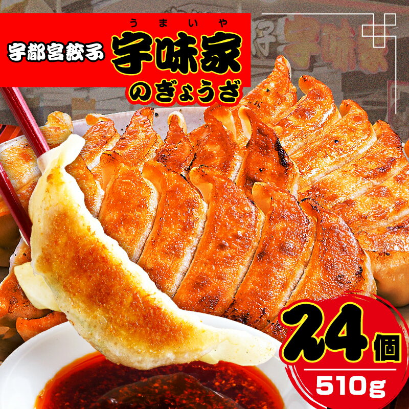 【ふるさと納税】宇都宮餃子 宇味家のぎょうざ 栃木県 那須塩原市 餃子 惣菜 野菜 国産 三元豚 豚肉 焼き餃子 水餃子 冷凍餃子 揚げ餃子 お取り寄せ グルメ 送料無料