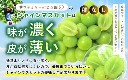 【訳あり】岡山県産 林ファミリーのシャインマスカット&ピオーネ 約2kg（約3～5房） 【2025年先行予約】 / ご家庭用 岡山 真庭市 ぶどう 果物 フルーツ セット 【hfami025】