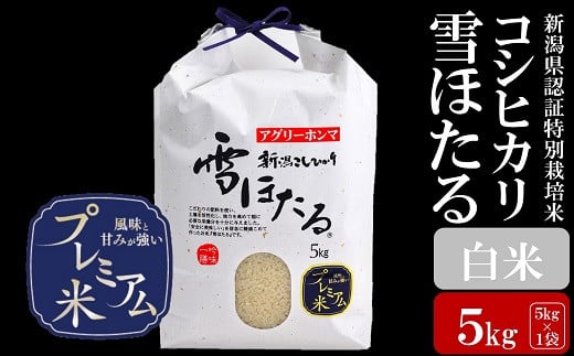 
            【令和6年産米】甘味の強いプレミアム米 新潟県認証特別栽培米 コシヒカリ 白米 5kg アグリーホンマ[ZB364]
          