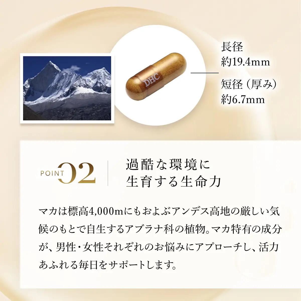 75909_DHC マカ 30日分 2個セット（60日分） MBB024