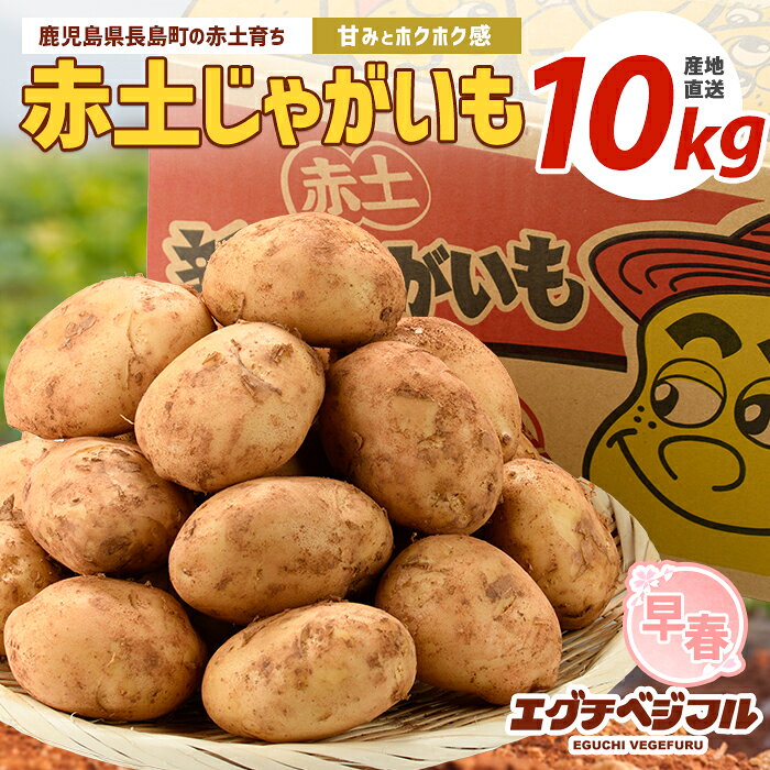 【ふるさと納税】【先行予約】早春長島のミネラル栽培ジャガイモ(10kg)国産 鹿児島県産 長島 じゃがいも 芋 野菜 赤土 詰め合わせ【エグチベジフル株式会社】eguchi-7021R8