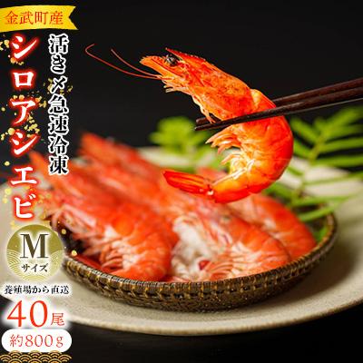 ふるさと納税 金武町 【養殖場から直送】活き〆急速冷凍 金武町産 シロアシエビ Mサイズ (バナメイエビ)