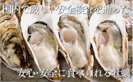 訳あり 牡蠣 かき 生食用 冷蔵 50個 朋輩牡蠣 篠島 かき 貝 かい オイスター 篠島 かき 貝 かい オイスター 篠島 かき