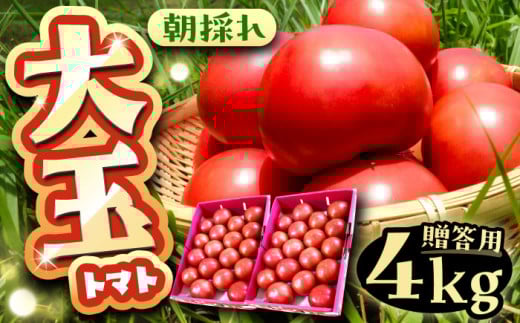 ＼キャンペーン実施中！／【先行予約】【7月中旬から10月中旬に順次発送】大玉トマト 4kg 産地直送 とまと トマト  恵那市 / クリエイティブファーマーズ [AUAH013]