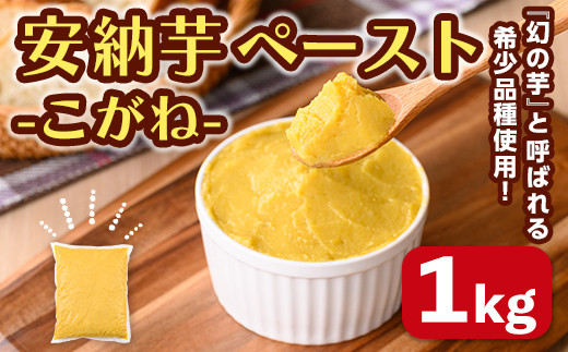 n457 安納芋(安納こがね) ペースト(1kg×1P) 国産 安納芋 芋 いも イモ さつまいも さつま芋 安納いもペースト 小分け 真空パック 野菜 お菓子作り 製菓材料 冷凍  ※北海道・沖縄配送不可※ 【なかたね農産】
