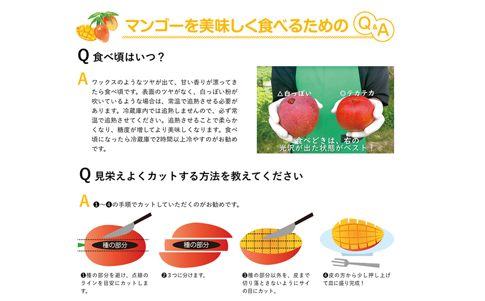最高級マンゴー　宝珠２kg【熱帯資源植物研究所】