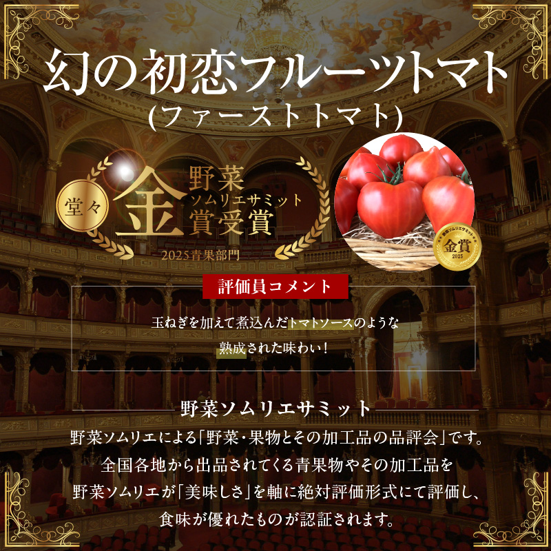 【2026年度予約分】【予約受付】 たった3ヶ月しか食べられない 幻 フルーツ トマト ファーストトマト 容量 約700g 特に美味しい 3月 〜 5月 限定発送 長田農園 完全木熟栽培 果皮 薄い もっちり食感 甘い リコピン 野菜 碧南市 送料無料 H004-120