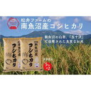 【ふるさと納税】【令和7年産新米予約】【定期便（無洗米）】南魚沼産コシヒカリ（10kg×12回) | お米 こめ 白米 コシヒカリ 食品 人気 おすすめ 送料無料 魚沼 南魚沼 南魚沼市 新潟県産 新潟県 精米 産直 産地直送 お取り寄せ