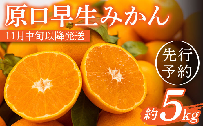 
                  【先行予約】濃厚な食味！原口 早生みかん 長崎県産 約5kg【田崎FARM】[OCU003] / ミカン 蜜柑 柑橘 長崎県産みかん 原口蜜柑 早生ミカン 人気 家庭用みかん わせみかん はらぐちみかん ミカン 柑橘 川棚町産柑橘 美味しい 数量限定 果物 人気
                