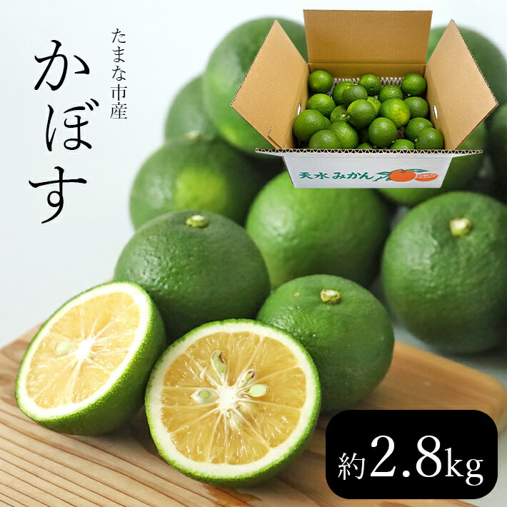 【ふるさと納税】国産かぼす 2.8kg | 2.8キロ 生産者直送 産地直送 秋 かぼす 柑橘 果物 焼き魚 サワー 玉名市 玉名 熊本 天水 郷〇市 送料無料