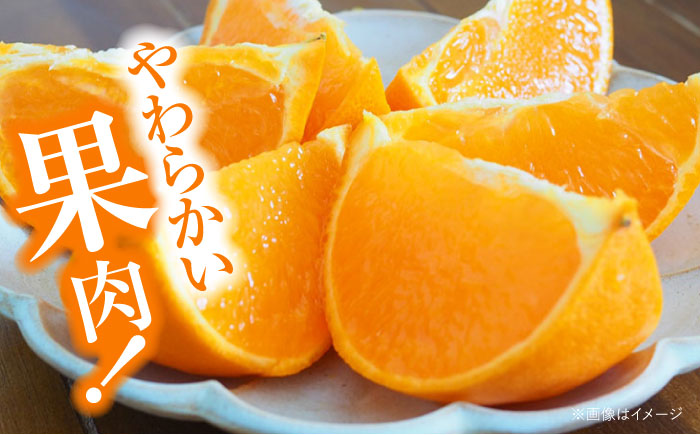 【先行予約】【2月上旬より順次発送】 訳あり せとか 2.5kg （Lから4Lサイズ混合） 愛媛県大洲市/有限会社西山青果 みかん フルーツ 果物 セトカ 訳あり [AGAR012]