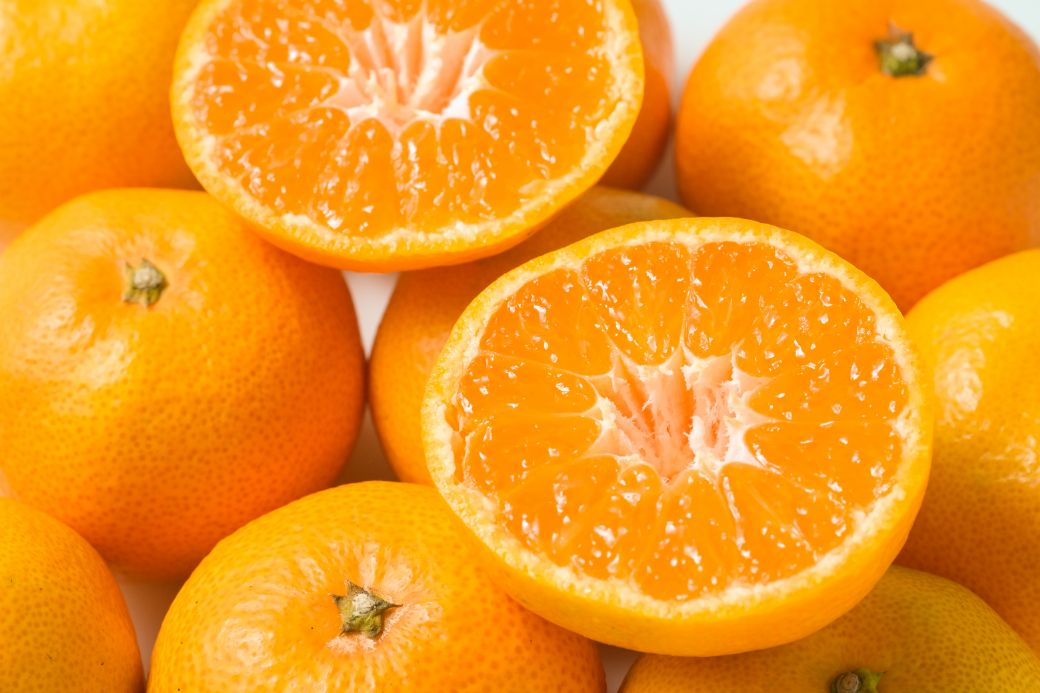 【ふるさと納税】【先行予約】Saito Orange Farmの南柑20号5kg ※離島への配送不可（2025年12月中下旬頃より順次発送） 【ふるさと納税 人気 おすすめ みかん 蜜柑 柑橘 南果20号 フルーツ 果物 産地直送 Saito Orange Farm 愛媛県産 愛媛県 伊方町 送料無料】 IKTAQ018