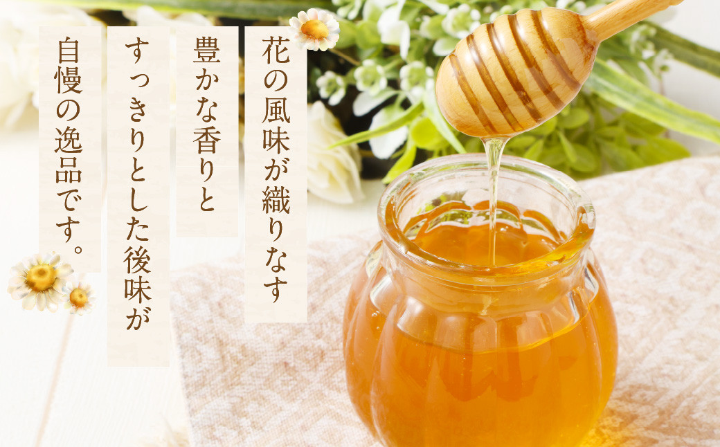 MINOKAMO HONEY はちみつ （ 200g × 2本 ）