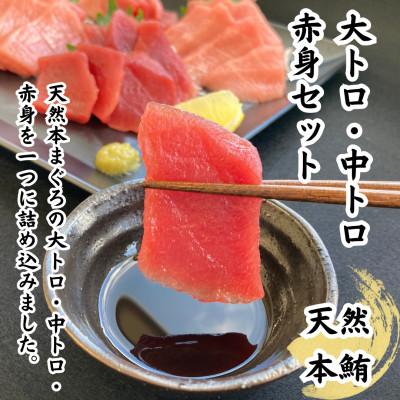 ふるさと納税 静岡市 【天然】　本鮪　大トロ100g　中トロ200g　赤身200g　セット　合計500g |  | 01