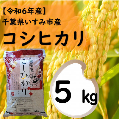 
            ＜令和6年産米＞　千葉県いすみ市産　コシヒカリ精米5kg【1546630】
          