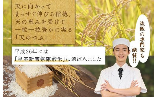 
            【令和7年産】【全3回定期便】米　 国見町産　天のつぶ 10kg（5kg×2袋）　 3回定期便 ※沖縄・離島への配送不可 ※2025年10月中旬～2026年2月頃に順次発送予定
          