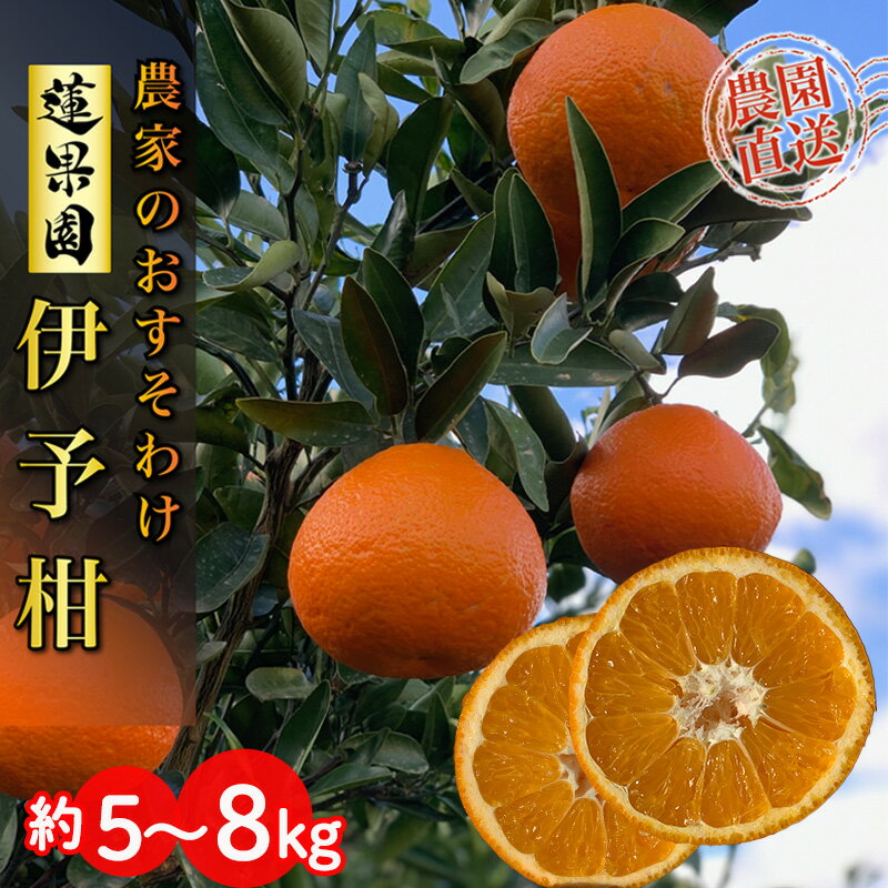 【ふるさと納税】 【先行予約】 【2026年1月から発送予定】 家庭用 宮内伊予柑 5kg または 8kg サイズ混合 （ 訳あり 柑橘 みかん 果物 くだもの フルーツ おすすめ 人気 お取り寄せ グルメ ギフト 期間限定 数量限定 ご当地 愛媛県 松山市 ）