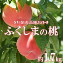 【ふるさと納税】No.2425　8月発送の桃　特秀品約1.7kg【2025年発送】