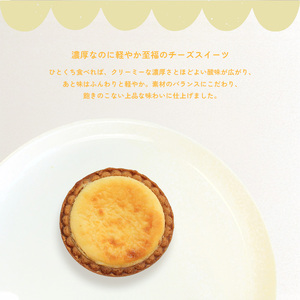 チーズタルト 冷凍  6個入 チーズな時間 タルト