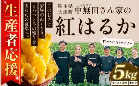中無田農園の紅はるか 約5kg さつまいも 芋