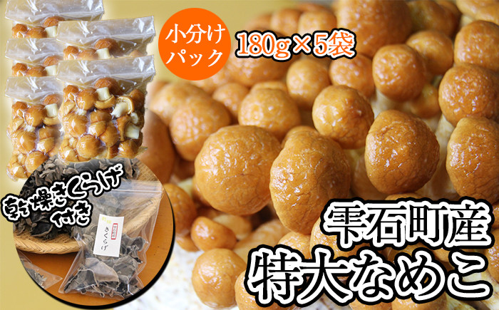 
                  岩手県産 特大 なめこ 180g 5袋 & 乾燥きくらげ 20g 6袋 【マッシュルームベッドハウス】／ 国産 雫石町産 きのこ 茸 キノコ 滑子 ナメコ 乾燥 乾物 きくらげ キクラゲ 木耳 乾物 菌床栽培 小分け 小分け包装 数量限定 期間限定 旬 冬 冬野菜 野菜 やさい 数量限定 期間限定 季節限定 人気 おすすめ
                