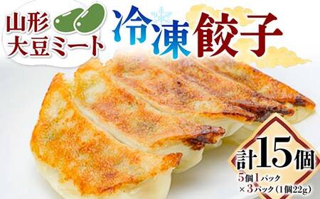 大豆ミート 冷凍餃子 15個(5個×3パック)  F3S-1871