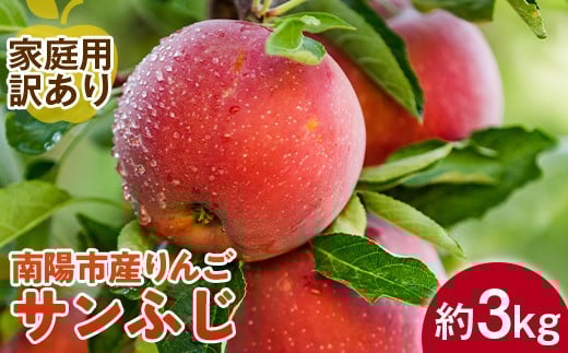 【令和7年産先行予約】 〈訳あり品 家庭用〉 りんご ｢サンふじ｣ 約3kg (8～12玉前後) 《令和7年11月下旬～発送》 『平農園』 リンゴ 果物 フルーツ 産地直送 生産農家直送 山形県 南陽市 [1650]