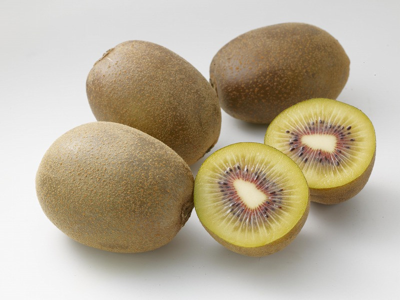 
            【ふるさと納税】キウイ 約 1kg 6～10玉入り さぬきエンジェルスイートキウイ 化粧箱 入り 国産 県認定 生産者 栽培 果物 フルーツ さぬき讃フルーツ オリジナルキウイ お取り寄せ お取り寄せフルーツ 送料無料
          