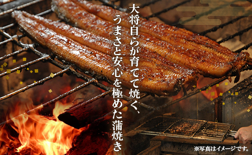 うなぎ 定期便 2回 うなぎ蒲焼き&白焼き120g 2尾(無頭) Wun-0047