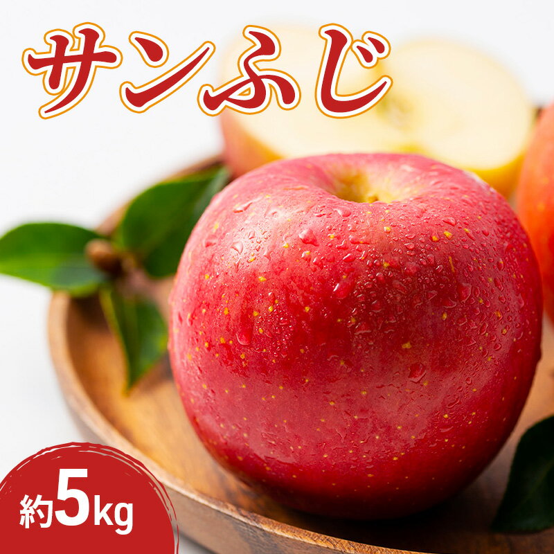 【ふるさと納税】サンふじ 5kg 果物 フルーツ りんご 長野県　お届け：2026年11月中旬～12月末