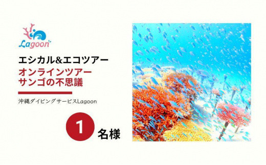 
チケット【参加特典付き貸切オンラインツアー】沖縄から自然環境を学ぶ！サンゴの不思議【恩納村ラグーン】
