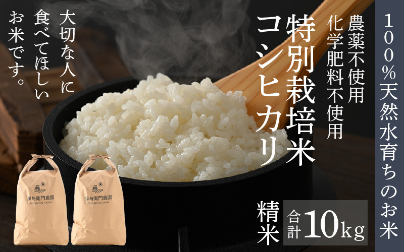 
            【先行予約】【令和7年産 新米】伊与衛門農園のコシヒカリ 精米 10kg 特別栽培米 5kg×2袋 化学肥料不使用 ＜温度と湿度を常時管理し新鮮米を出荷！＞／ 高品質 鮮度抜群 福井県あわら産 ブランド米 白米 お米 ※2025年9月下旬より順次発送予定
          