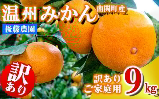 ご家庭用 後藤農園 温州みかん 9kg 訳あり 熊本県 南関町 フルーツ 果物 くだもの 柑橘