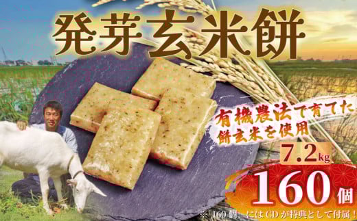 餅 発芽 玄米 160個 7.2kg 12月以降順次配送 個包装 国産 おもち 備蓄 防災 お中元 小分け レンジ オーブン 簡単調理 有機 不耕起栽培 健康 食品 発芽玄米餅 埼玉県 羽生市 雨読晴耕村舎