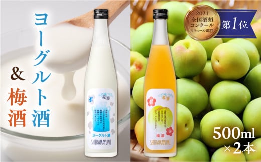 リキュール 人気のヨーグルト酒セットA ヨーグルト酒&梅酒 白真弓 蒲酒造 果実酒