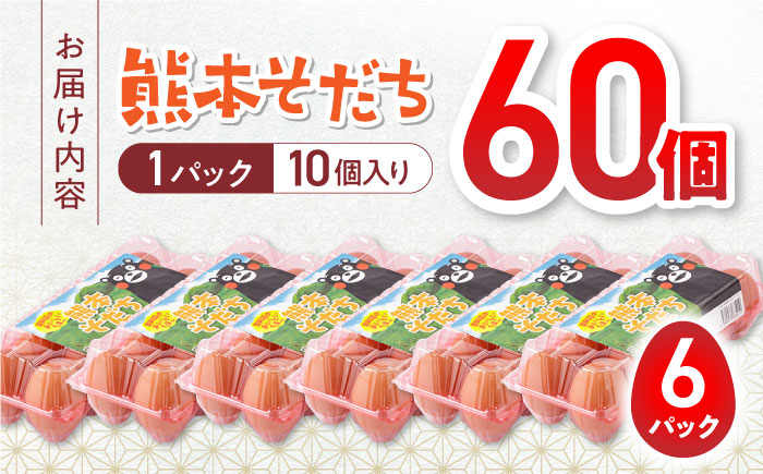 熊本県産 熊本そだち 60個入り ( 10個入り × 6パック ) 山都町 たまご 卵【蘇陽農場】 [YBE033]