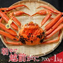 【ふるさと納税】【年内発送】朝ゆで越前がに1杯 【容量が選べる 700g / 800g / 1kg】｜お歳暮 かに 蟹 カニ ズワイガニ オス 雄 1杯 ずわいがに ずわい蟹 国産 福井 送料無料 [H-001001]