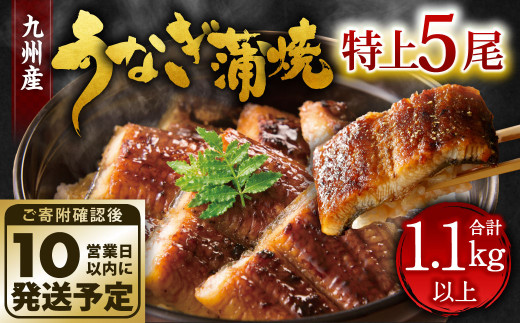 九州産 うなぎ 蒲焼 特上 5尾 計1.1kg以上 (1尾あたり220～235g)【順次発送】