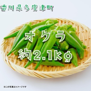 オクラ約2.1kg　30ネットまたはバラ詰め【A-144】