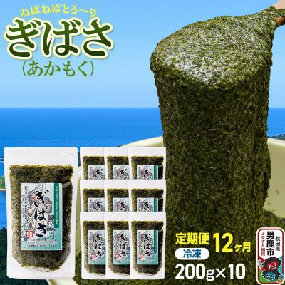 ふるさと納税 男鹿市 【定期便12ヶ月】ぎばさ(あかもく) 200g×10個セット 海藻|23_ogn-241012