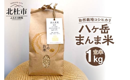 【令和7年度米】八ヶ岳　まんま米　玄米1kg（手植え・手刈り・天日干しの自然栽培コシヒカリ）　農薬不使用 肥料不使用 山梨県 北杜市