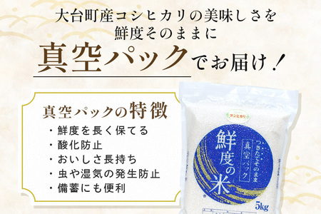 玄米 5kg 真空パック A17-012